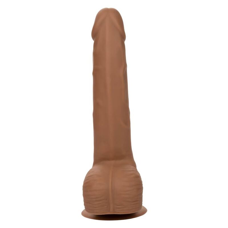 CALEXOTICS SILICONE STUDS 2032 CM BROWN