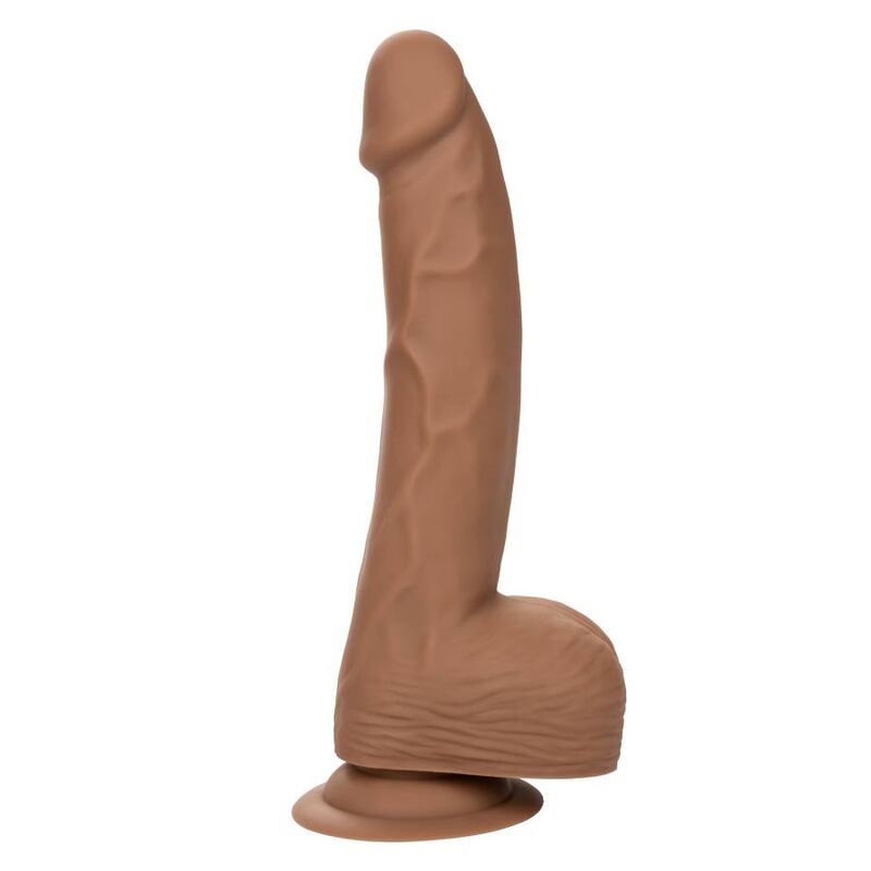 CALEXOTICS SILICONE STUDS 2032 CM BROWN