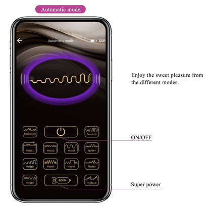 PRETTY LOVE BAIRD G SPOT 12 VIBRATIONS RECHARGEABLE LILA APP