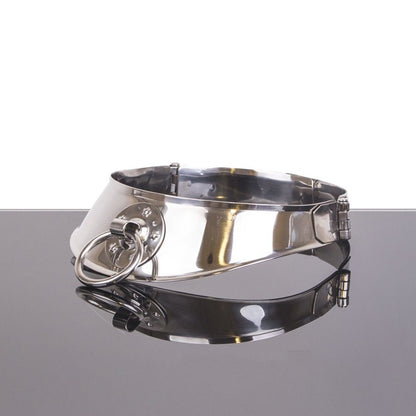 METAL HARD RESTRAINT COLLAR WITH RING