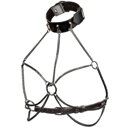 CALEXOTICS EUPHORIA PLUS SIZE MULTI CHAIN COLLAR HARNESS