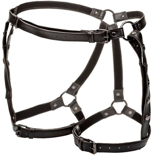 CALEXOTICS EUPHORIA PLUS SIZE RIDING THIGH HARNESS