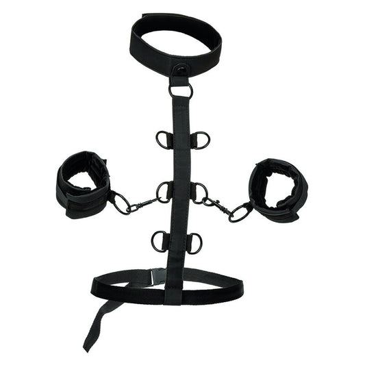 CALEXOTICS BOUNDLESS COLLAR BODY RESTRAINT